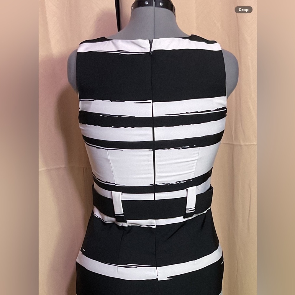Voir Voir Black & White Striped Sheath Dress - Picture 7 of 11